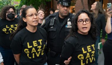 NYC lawmakers arrested at pro-Palestinian protest at offices of Sens. Schumer, Gillibrand
