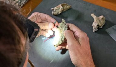 Newly Discovered Fossils Reveal Unknown Humanlike Relative