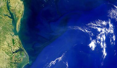 The Gulf Stream Is On The Verge Of Collapse, Scientists Warn Of Imminent Consequences