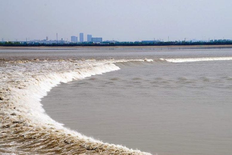 The Qiantang River Tidal Bore 