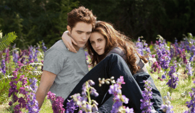 'The Twilight Saga: Breaking Dawn - Part 2'