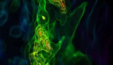 The Universe’s Very First Stars Reveal An Unexpected Cosmic Chaos