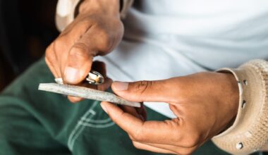 NYC & NY Weed Price Watch: Hot Deals, Top Dispensaries, Must-Try Drops | stupidDOPE