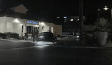 Police investigating Torrey Pines hit-and-run involving teen – NBC 7 San Diego