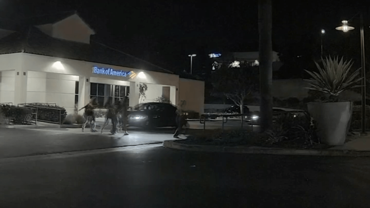 Police investigating Torrey Pines hit-and-run involving teen – NBC 7 San Diego