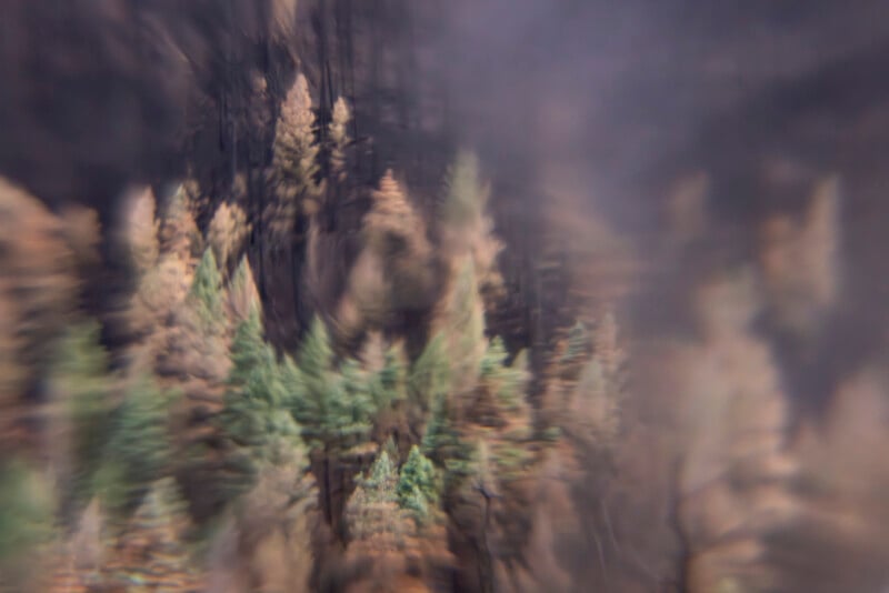 A forest scene with green and brown trees, appearing blurred and dreamy, with soft edges and a hazy, surreal atmosphere. The image has a radial blur effect centered on the trees.