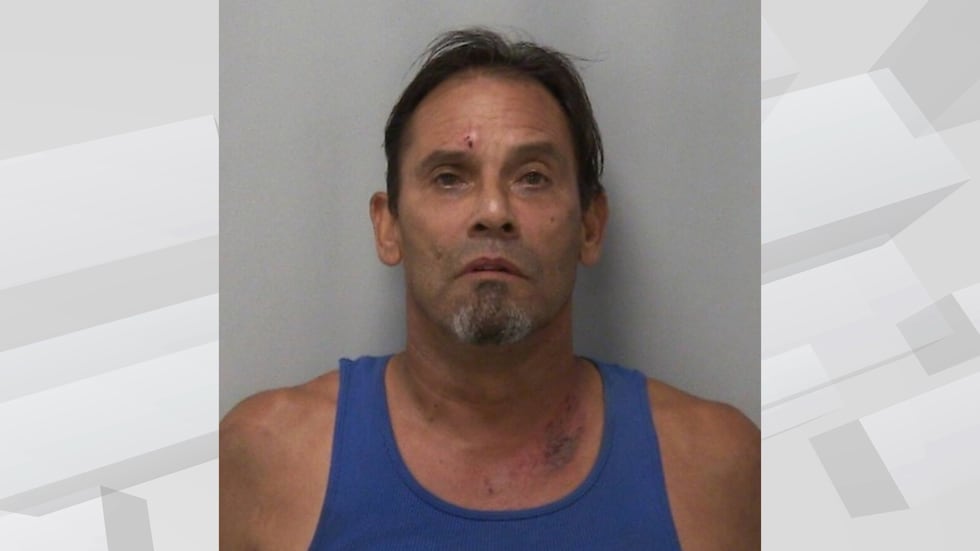 Chicago man faces gun charges in Lee County