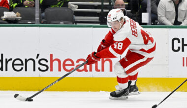 Red Wings' Jonatan Berggren Set For Watershed Season