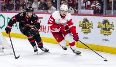 Burning Red Wings questions: Who plays top-line left wing? Can youngsters level up?