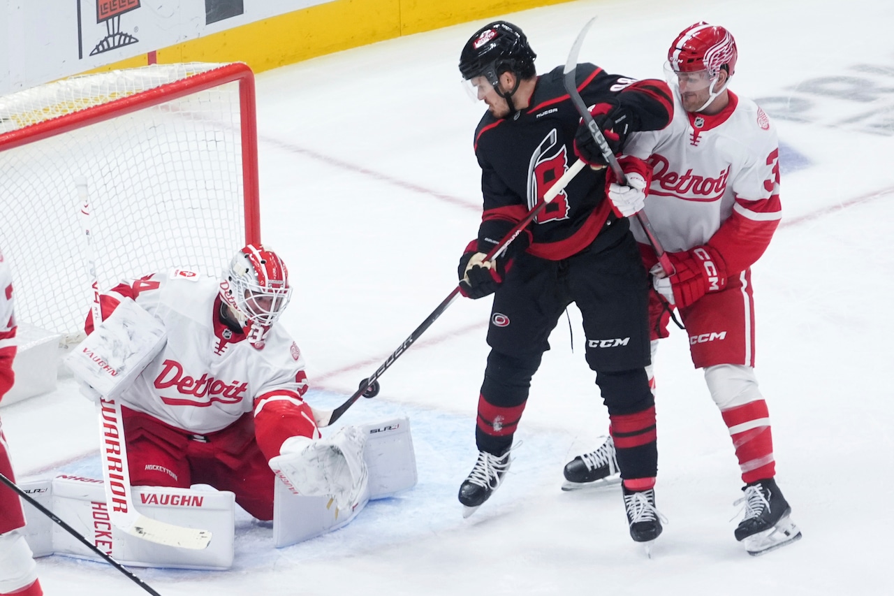Should Red Wings be interested in any remaining free agents?
