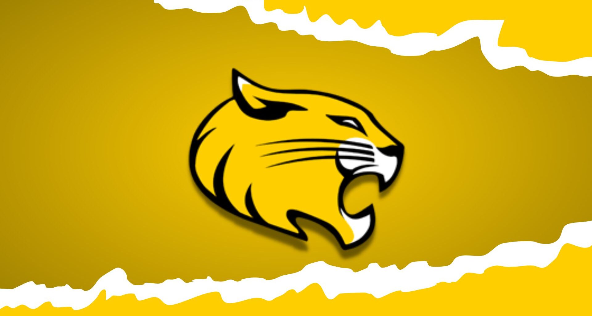 Women's HoopDirt | Thomason departs Hartford; Named WBB Head Coach at Randolph College