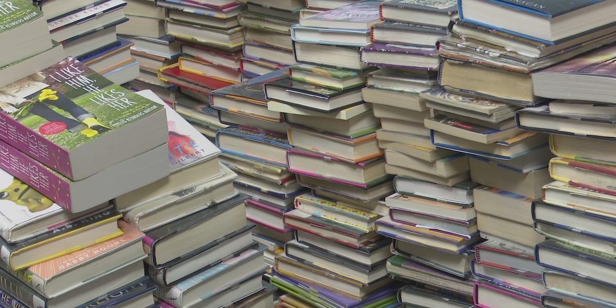 Hancock School Public Library to hold annual used book sale