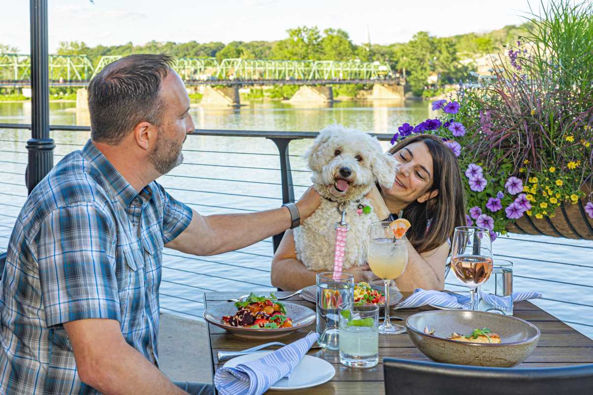 National Dog Month events Philly pet owners will love – Metro Philadelphia