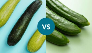 Which One Has More Fiber and Water Content?