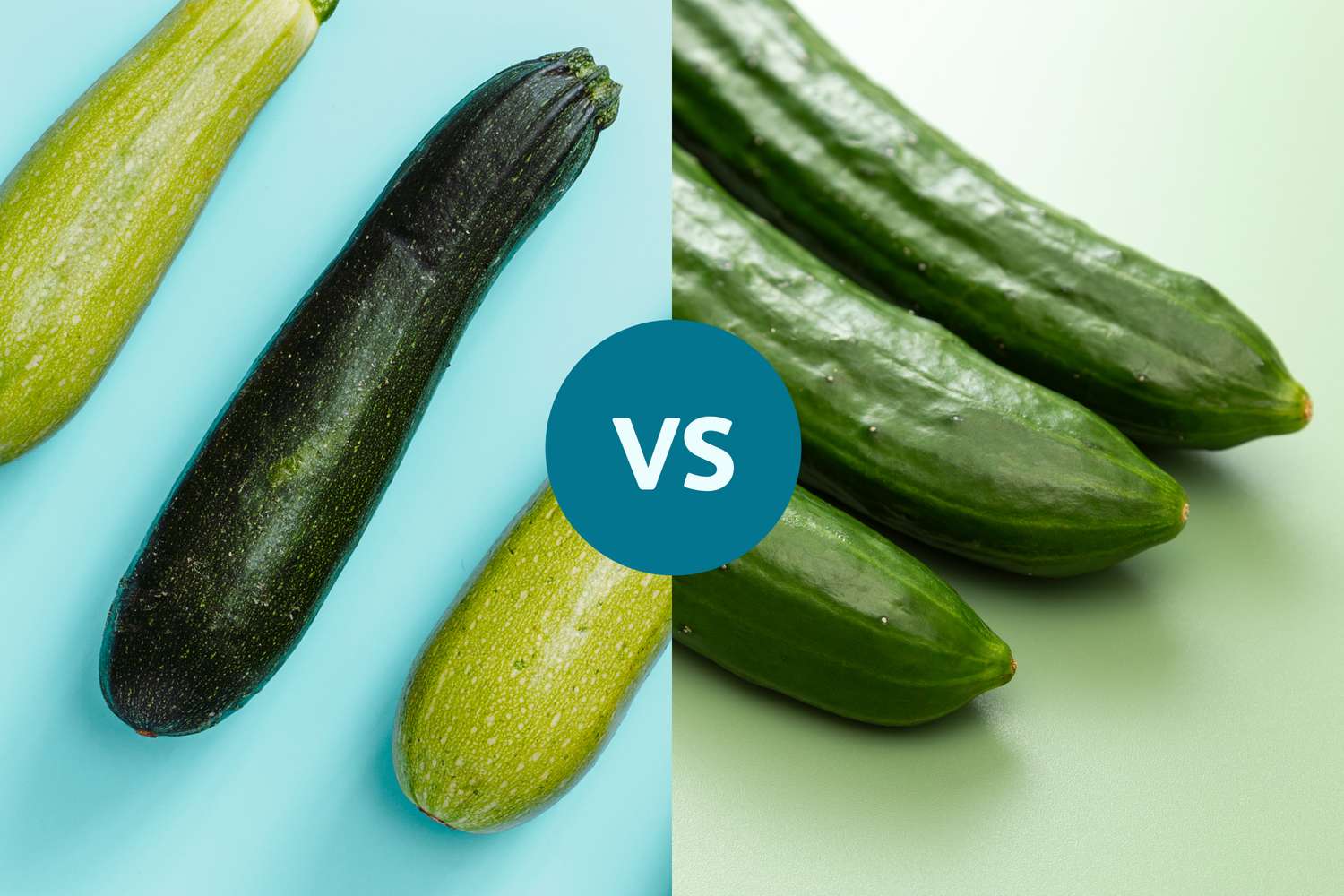 Which One Has More Fiber and Water Content?