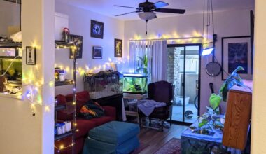 Phoenix housing solutions: vice mayor shares new 2025 plan...