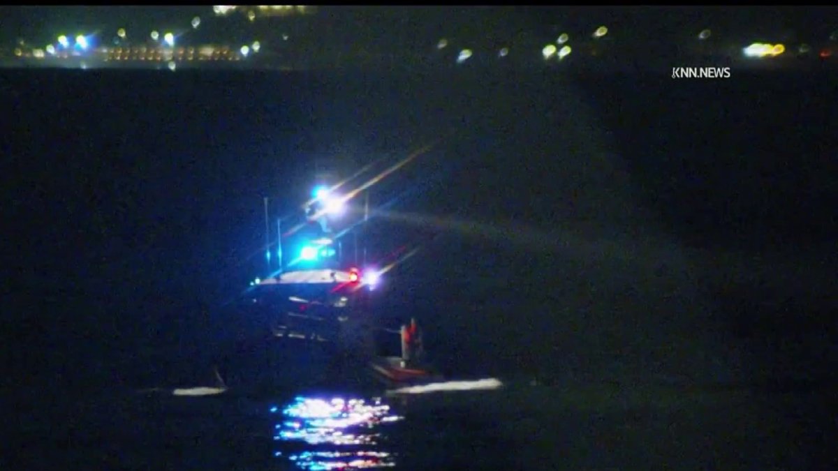 Search called off for woman missing in Venice Beach – NBC Los Angeles