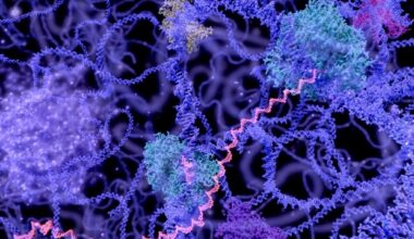 Next-gen sequencing reveals the regulatory potential of the non-coding genome