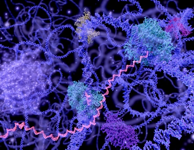 Next-gen sequencing reveals the regulatory potential of the non-coding genome