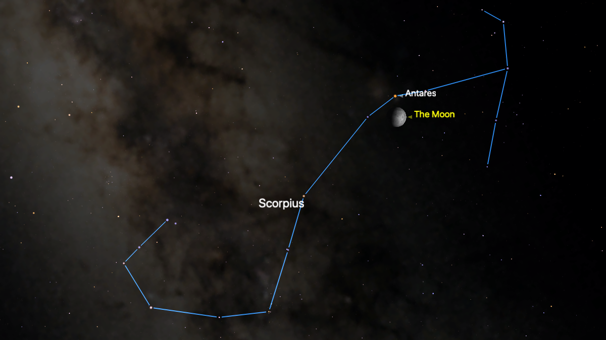 The location of the moon is shown for the night of August third against a simulated night sky. The moon is pictured surrounded by the stars of the constellation Antares, which are joined by a blue line. The red star Antares is positioned just above the waxing gibbous lunar disk, and the glowing band of the Milky Way is visible streaking through the left side of the constellation.