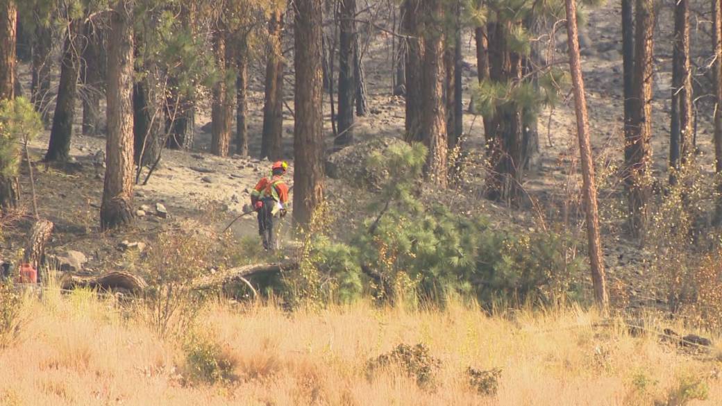 Click to play video: 'Early attack strategies paying off for crews in Okanagan wildfire season'