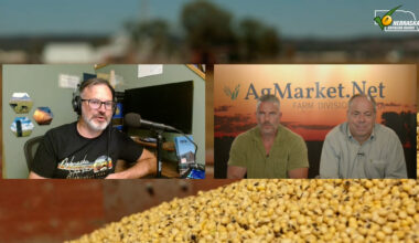 Markets react to surprising WASDE corn acreage, week ends with grains edging higher: Weekly Market Roundup - Rural Radio Network