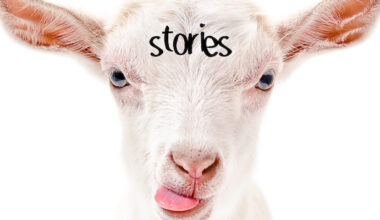 5 Book Reviews You Need to Read This Week ‹ Literary Hub