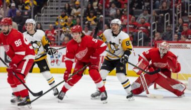 , Moritz Seider, Red Wings