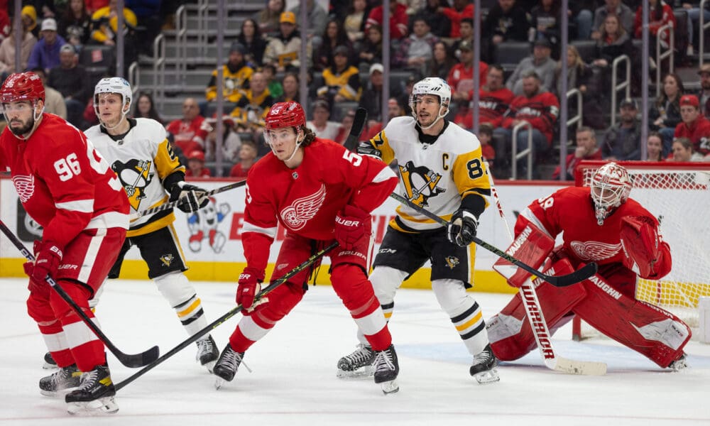 , Moritz Seider, Red Wings