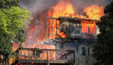 Six dogs missing after suburban house fire – NBC Chicago
