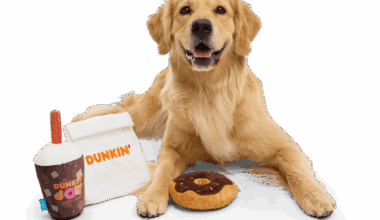 Fetch these deals for National Dog Day across San Antonio