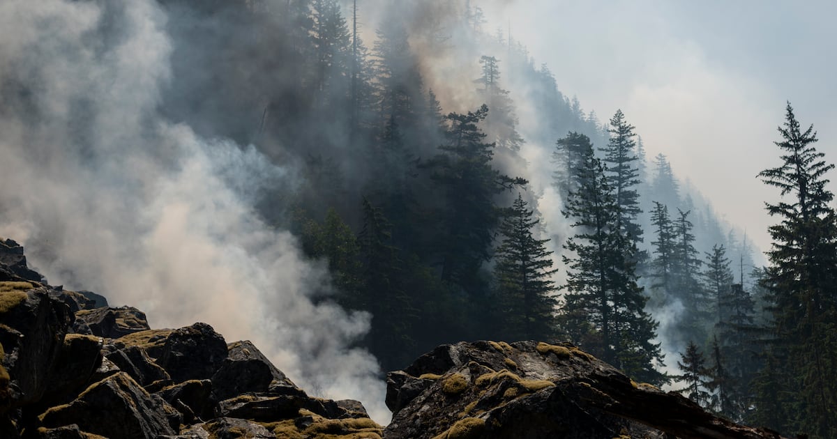 ‘There’s just too many fires’: Calls grow for national wildfire agency - CTV News