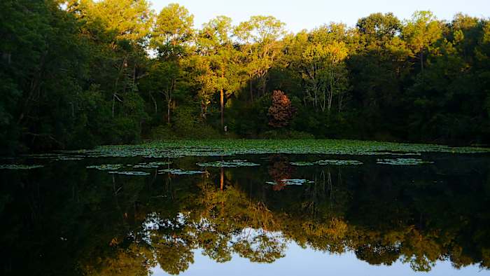 A hidden oasis amid Arlington’s urban hustle