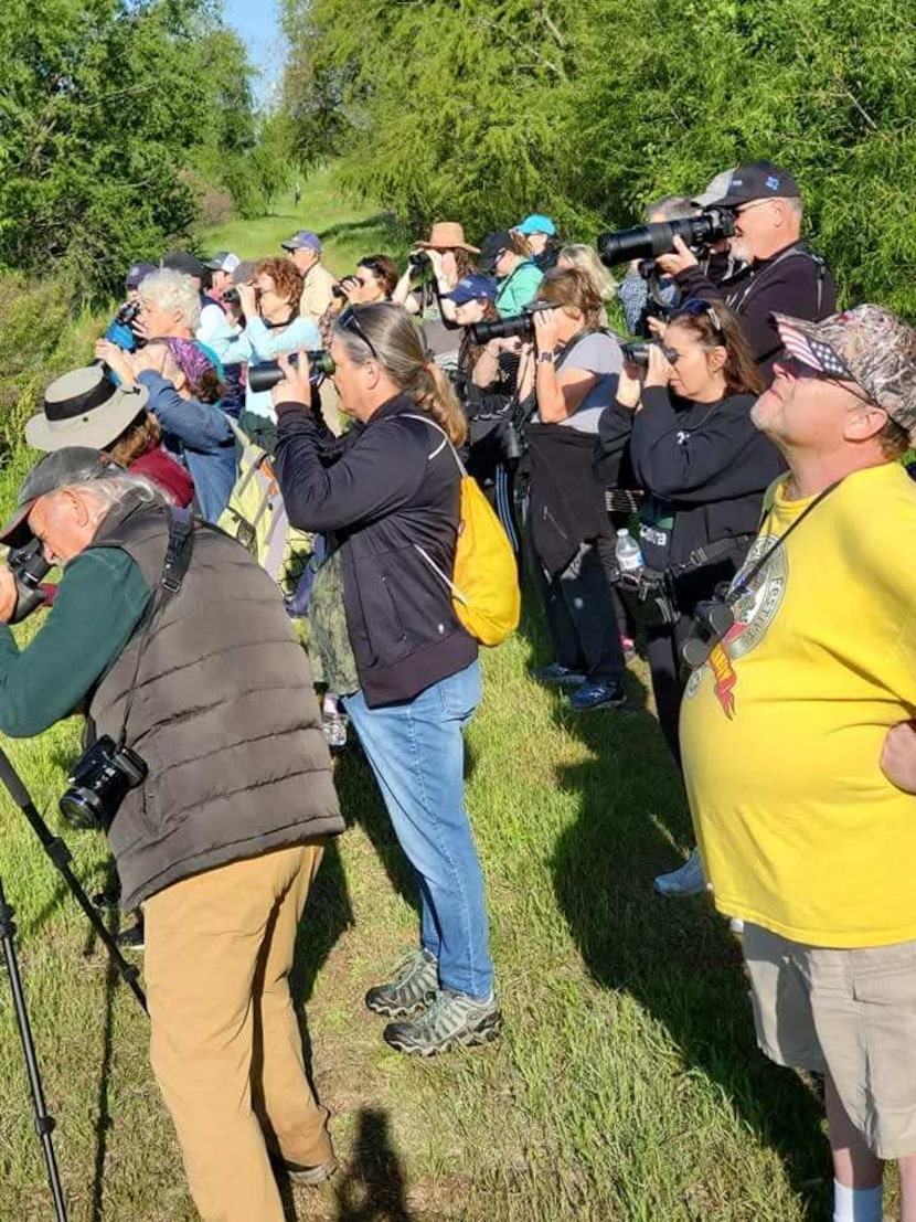 Birders gather to watch nesting least grebes in 2008 at Village Creek Drying Beds in Fort...