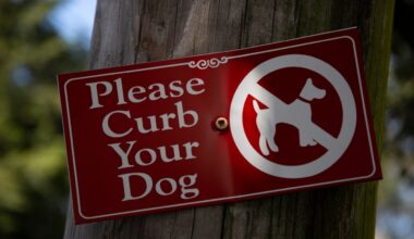 Dog waste complaints in NYC rise to 1,950 in 2025, up from 2024