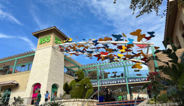 Locals Day at San Antonio Zoo, Culinaria Summer Restaurants Weeks, Lisa Lisa