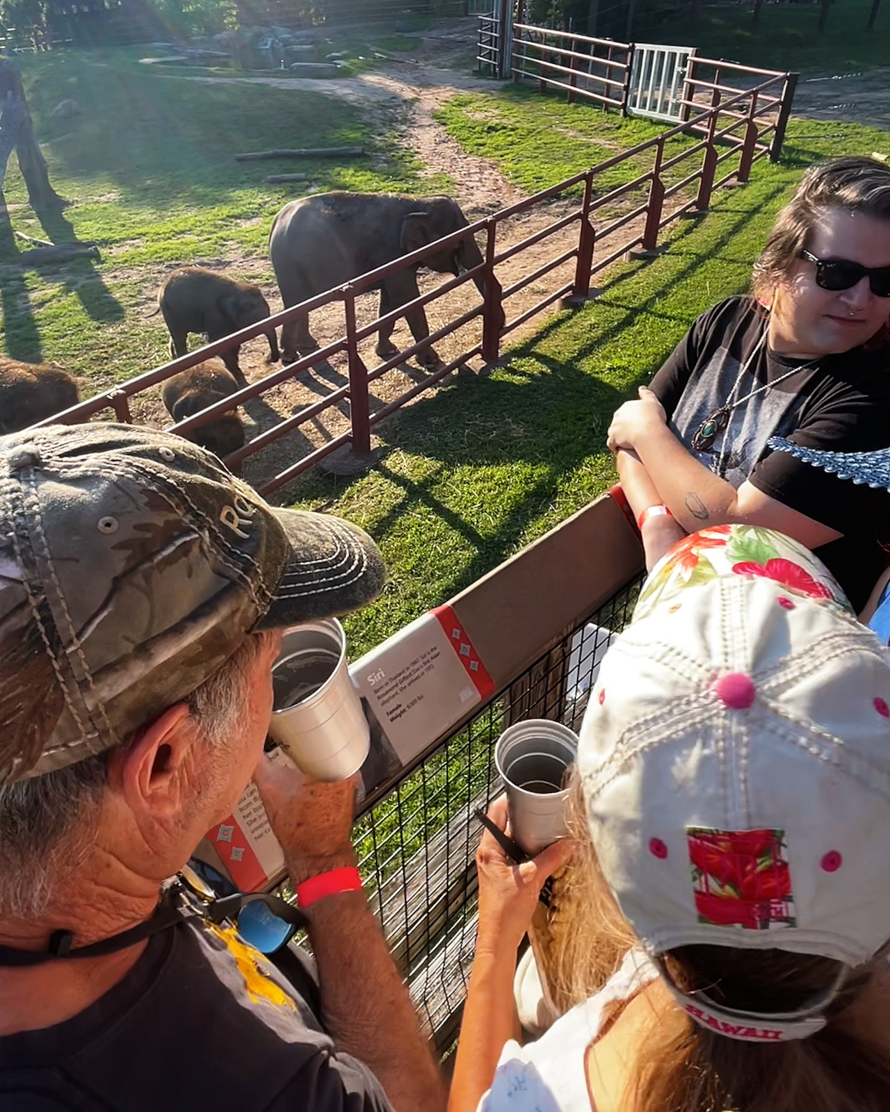 10 animal drink pairings inspired by Brew at the Zoo