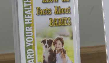 Community responds to rabid bobcat attack