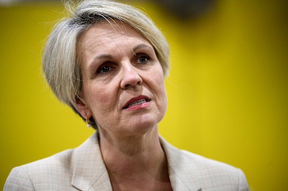 Social Services Minister Tanya Plibersek.