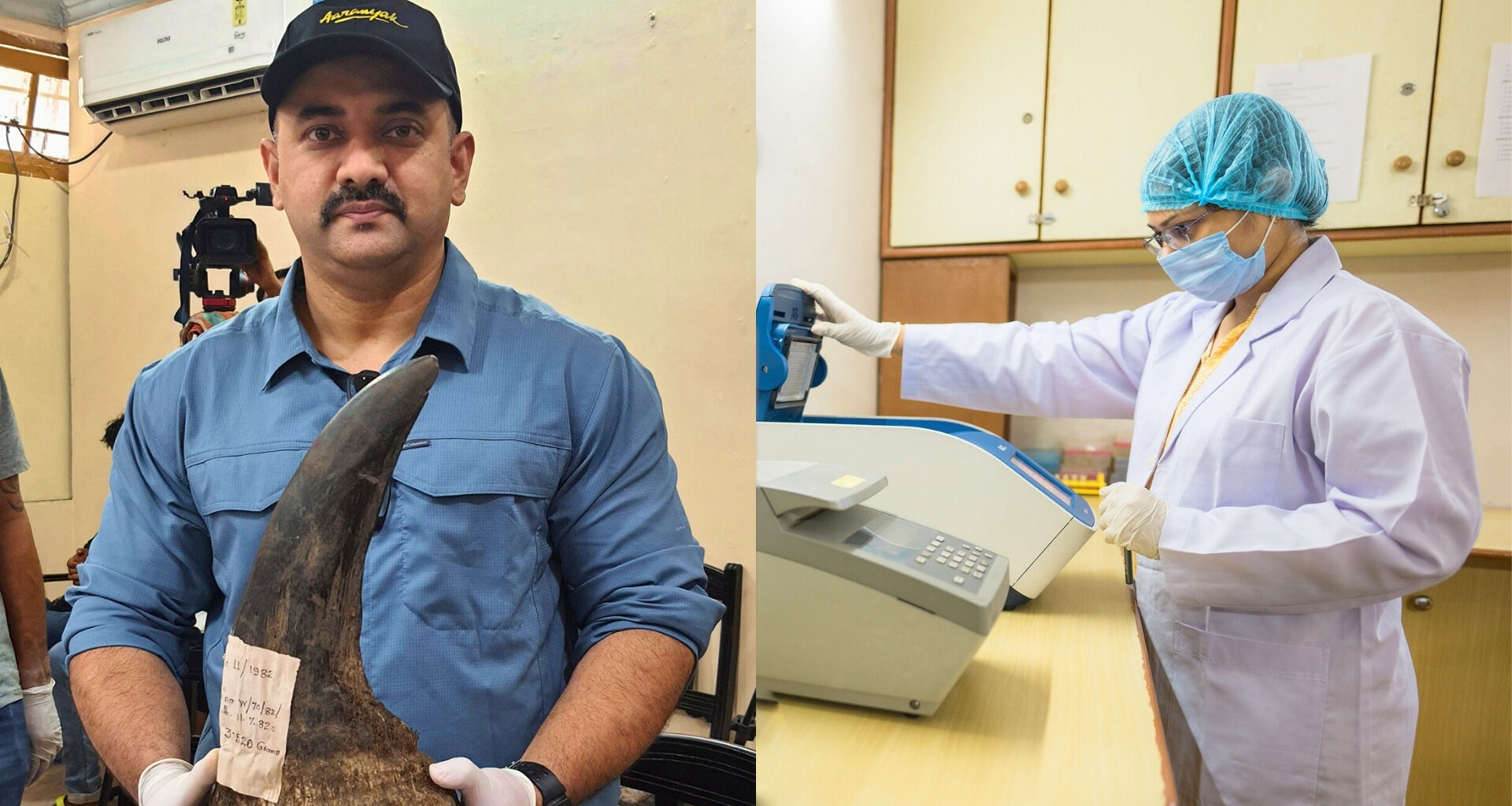 Aaranyak’s genetics lab gets state recognition to aid wildlife crime investigations