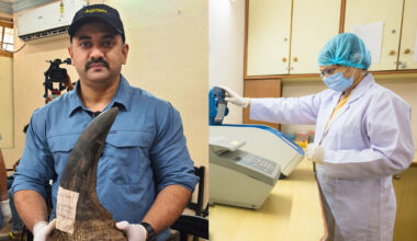Aaranyak’s genetics lab gets state recognition to aid wildlife crime investigations