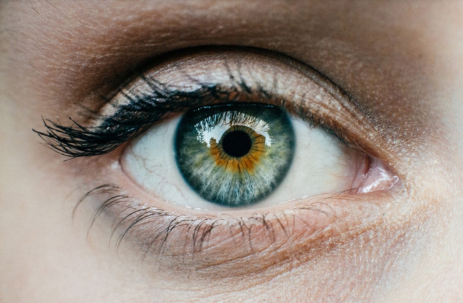 Do we all see the same thing? We looked at 100 years of research on perception and found something surprising.