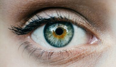 Do we all see the same thing? We looked at 100 years of research on perception and found something surprising.