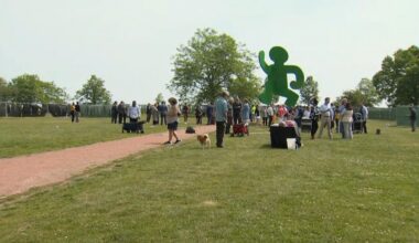 Bald-off competition set to take place in Chicago – NBC Chicago