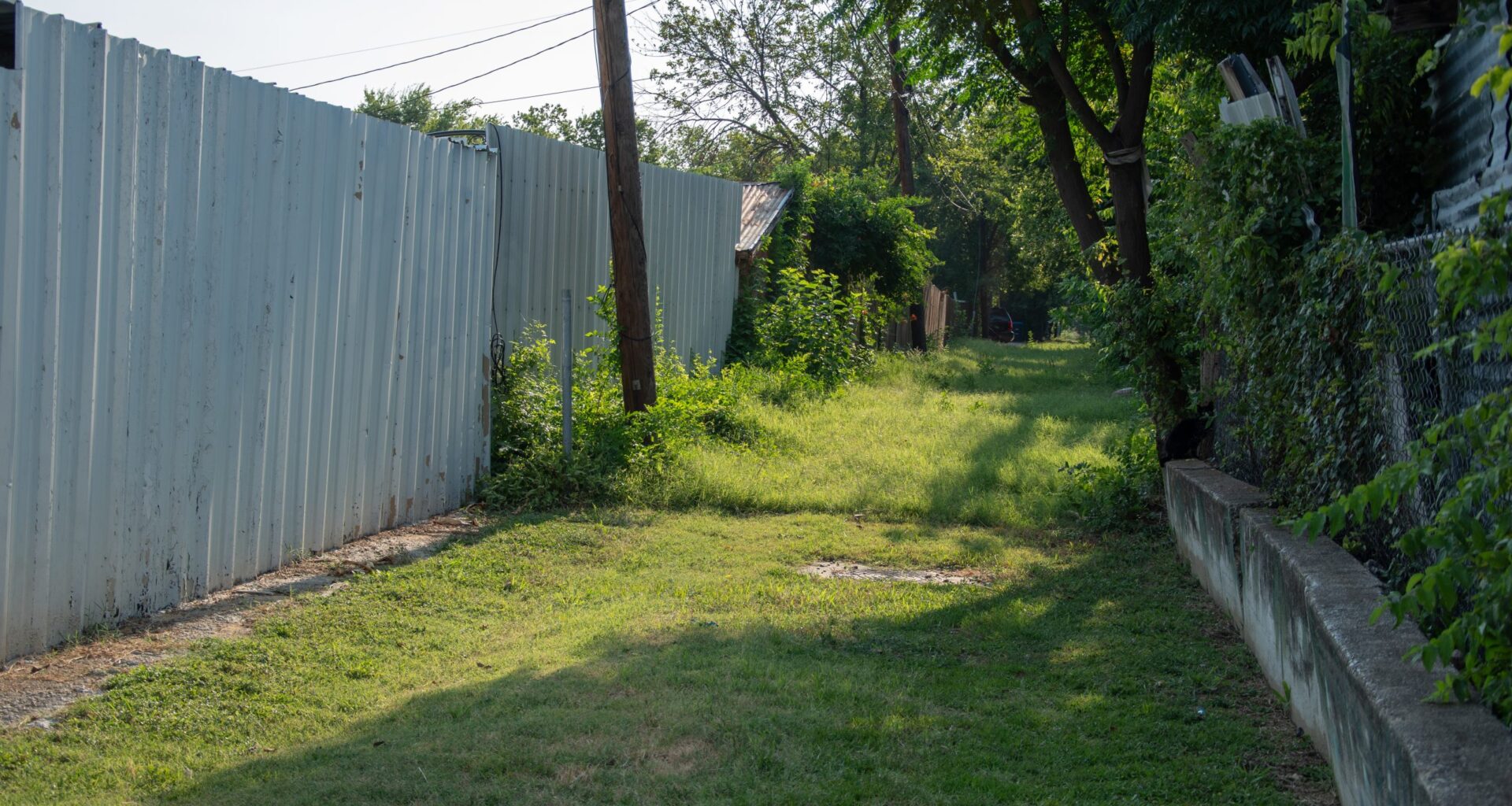 Fort Worth weighs $58M cost of graveling alleyways to tackle grass, weeds