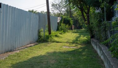 Fort Worth weighs $58M cost of graveling alleyways to tackle grass, weeds