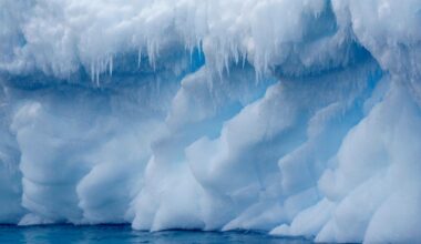 Abrupt Antarctic climate shifts could lead to "catastrophic consequences for generations," experts warn
