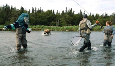 Grizzly bear charges toward Seattle Kraken team's mascot during video shoot in Alaska