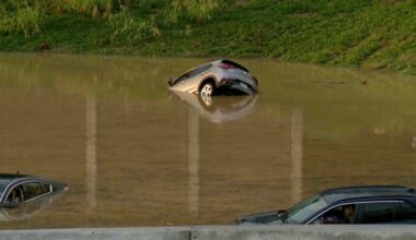 Falling tree kills parents and child in car as Chattanooga flooding prompts dozens of water rescues