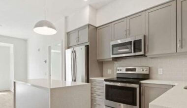 How big San Antonio apartments get for $1,500 rent in 2025